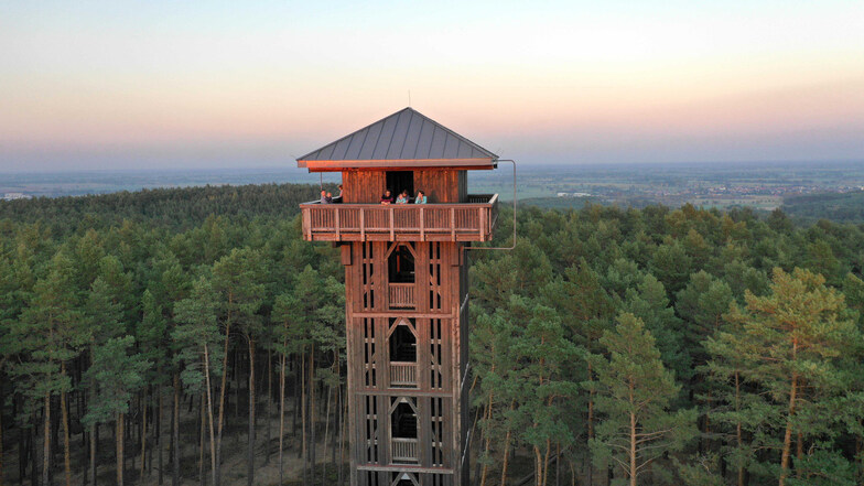 Imposant steht der Heidebergturm in der Waldlandschaft.
