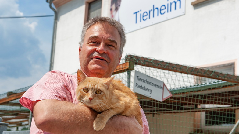 Matthias Kuri, Vorsitzender des Tierschutzvereines Radeberg, und seine Mitstreiter haben Tiere aus der Ukraine aufgenommen. Kater Garfield ist bereits seit langem vermittelt.