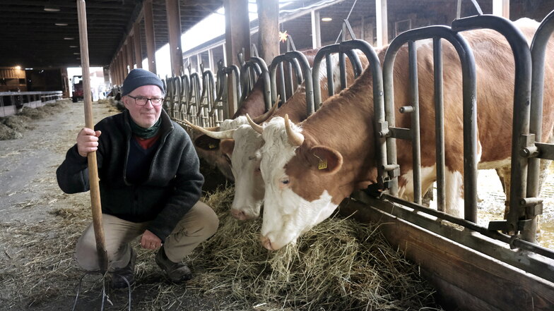 Nossen: Preisgekrönte Rinderzucht im Einklang mit der Natur