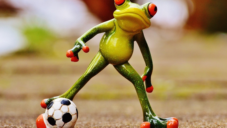 Sei kein Frosch, schau einfach mal bei TeaM Soccer auf #ddvlokalhilft vorbei!