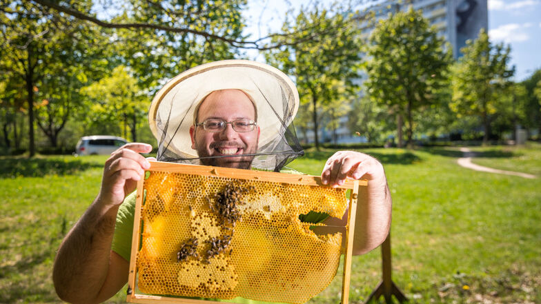 Gut für eine ertragreiche Ernte: Fünf Bienenvölker hat Tobias Unruh im Apfelgarten stationiert. Hier finden sie einen abwechslungsreichen Speiseplan und sorgen dafür, dass alle Pflanzen gut bestäubt werden.