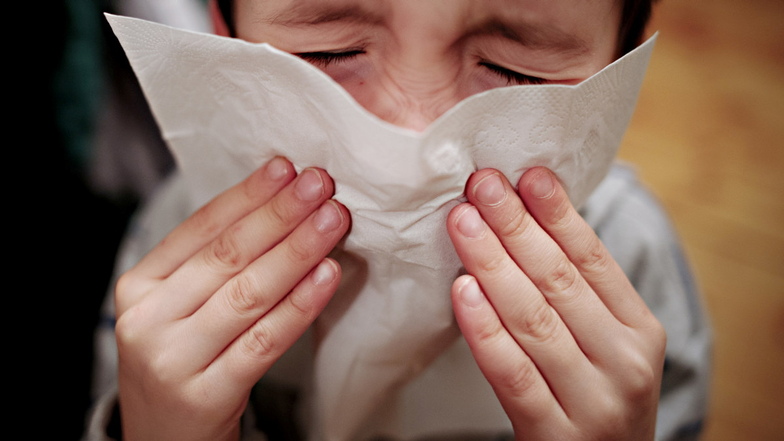 Ein kleiner Junge hält sich ein Taschentuch an die Nase. Die Sommer-Grippewelle rollt.