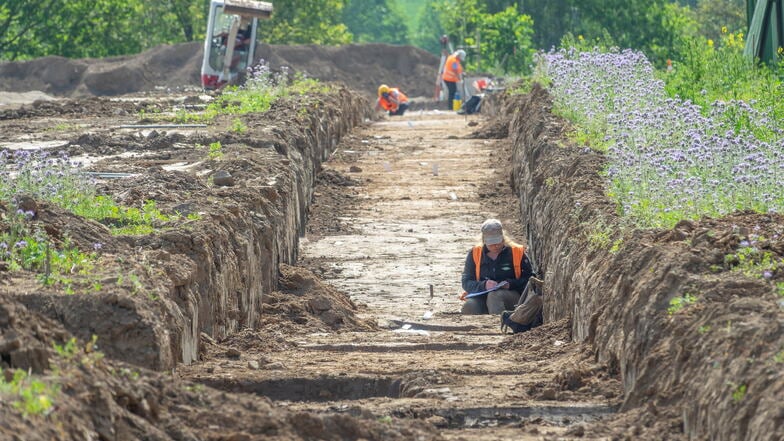 Das Grabungsfeld ist nur zwei Meter breit, aber 180 Meter lang.