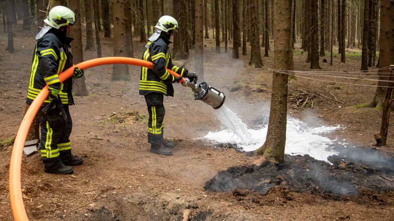 Die Feuerwehr deckte die Brandstelle im Bischofswerdaer Stadtwald mit Schaum ab.