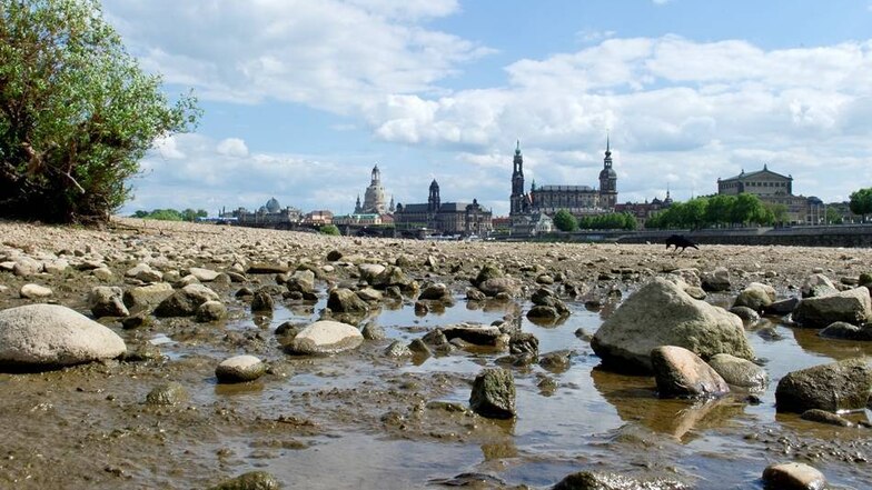 Die Elbe in Dresden: Pfützen zwischen den Steinen weisen darauf hin, dass sich der Fluss sehr weit in sein Bett zurückgezogen hat. Künftig dürfte er das noch häufiger tun.