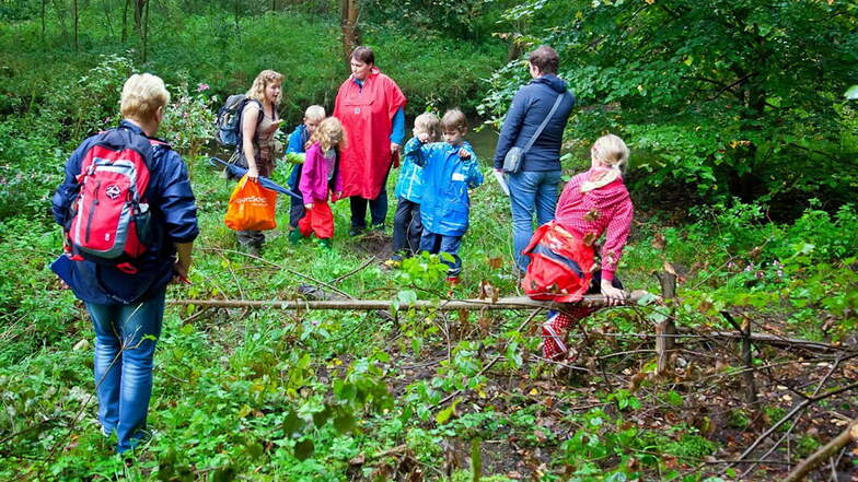 Ab in die wilde Natur. Mit Waldpädagogin Karina Klotsche können Kinder das Tiefental bei Königsbrück entdecken.