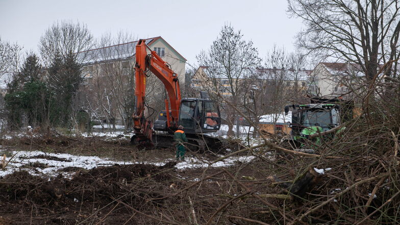 Bagger beseitigen die Verwilderungen auf dem Baugrundstück zwischen Schillerstraße und Kindergarten Pfiffikus.