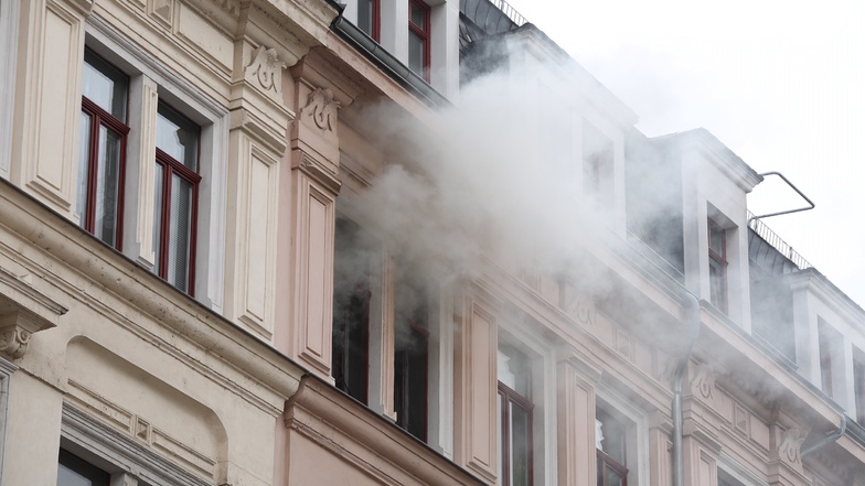Dresden: Katzen sterben bei Feuer