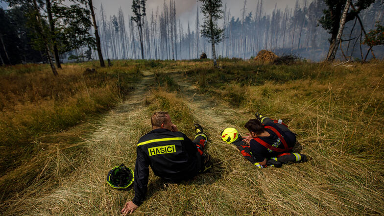Wo diese beiden Männer verschnaufen mit Blick auf ein niedergebranntes Waldstück in der Nähe von Hrensko.