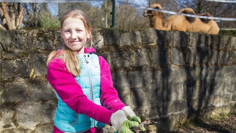 Die zwölfjährige Sophia war eine von 150 Freiwilligen, die am Sonnabend beim Frühjahrsputz im Zoo halfen.