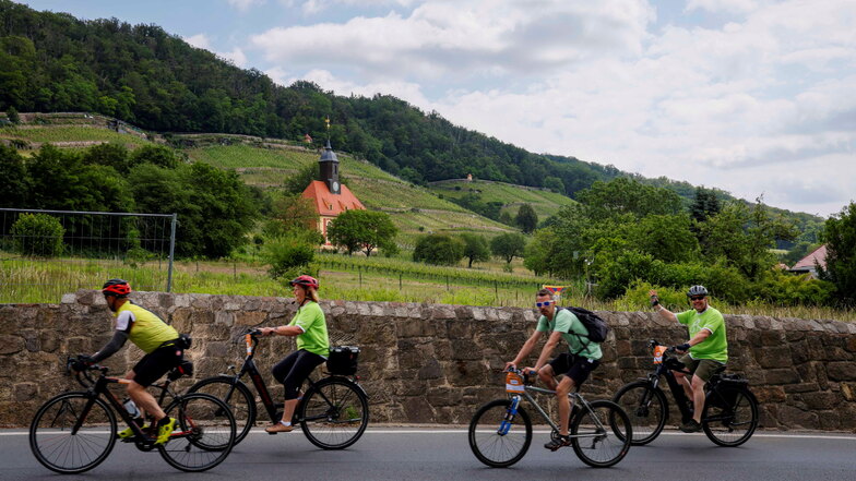 Auf den längsten Touren über 65 und 100 Kilometer kamen die Radfahrer an den Weinbergen in Pillnitz vorbei.