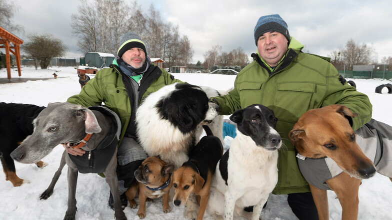Steffen Neumann (rechts) betreut mit seinem Mitarbeiter Florian Fränkel täglich bis zu 25 Hunde in seiner Hundetagesstätte.