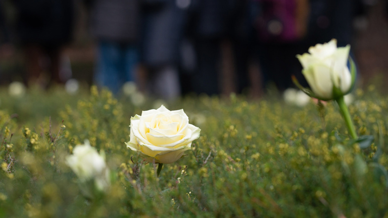 Weiße Rosen wurden auf dem Heidefriedhof abgelegt. 