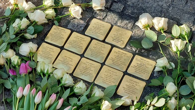 Die zwölf Stolpersteine für die Familie Blum in Dresden.