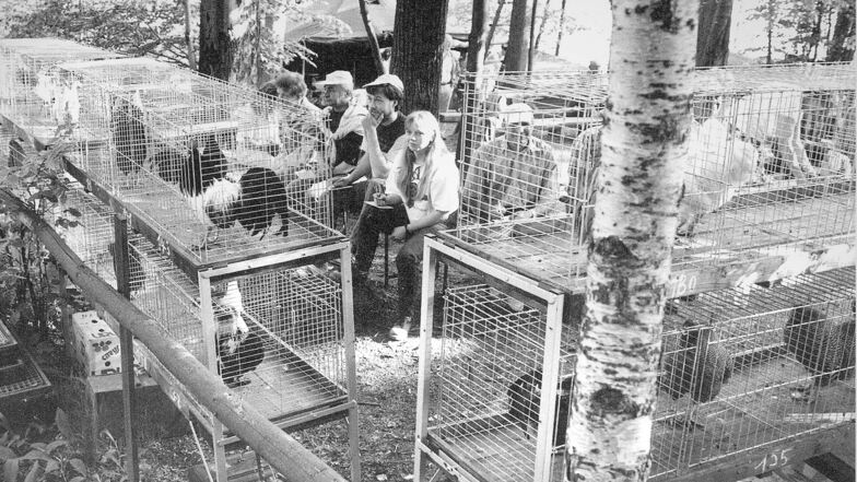 Vor 25 Jahren bot sich dieses Bild an der Herwigsdorfer Herbert-Schürer-Hütte: Die Jury sitzt am 18. Mai 1997 vor den Käfigen und registriert das Krähen der Hähne.
