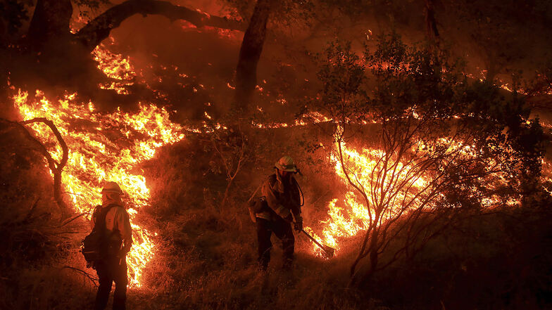 Mitarbeiter der Behörde für Forstwesen und Brandschutz arbeiten zwischen den Flammen eines Waldbrandes im Napa County.