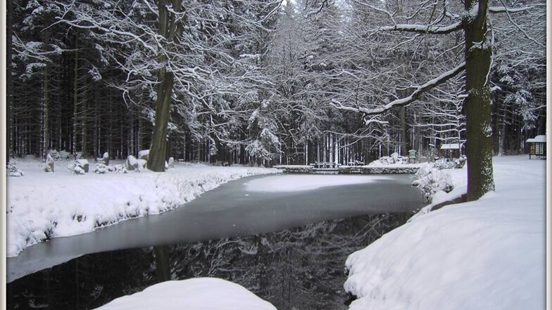 Winter in und um Steinigtwolmsdorf: Talsperre.