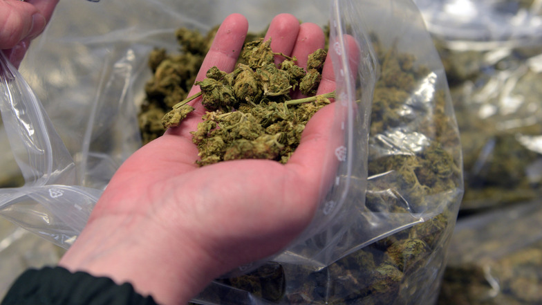 Bei einem Dresdner hat die Polizei mehr als ein halbes Kilo Marihuana gefunden.