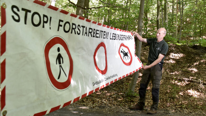 Diese Warnschilder in der Heide, die auf den Einschlag hinweisen, werden oft ignoriert, sagt Forstdirektor Heiko Müller.