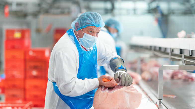 Der Schlachtbetrieb Färber beschäftigt fast 100 Mitarbeiter aus der Region und produziert pro Woche 160 Tonnen Schweine- und 40 Tonnen Rindfleisch.