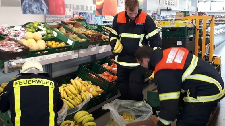 Große Aktion der Radebeuler Feuerwehr am Dienstag im Aldi-Markt, nachdem Spinnen aus Bananenkisten auftauchten.