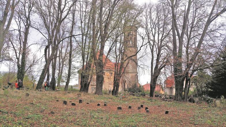 Der evangelische Friedhof und die Kirche von Żeliszów in Polen waren verfallen. Nun läuft die Rettung.