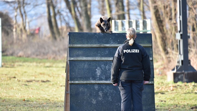 In Salzenforst hatten fünf Hundeführer der Polizeidirektion Görlitz die erste Prüfung in diesem Jahr mit ihren vierbeinigen Partnern.