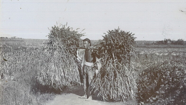 Ebenfalls im Erinnerungsalbum von Karl Kockisch zu finden: Aufnahme eines chinesischen Bauern, der seine Ernte einträgt.