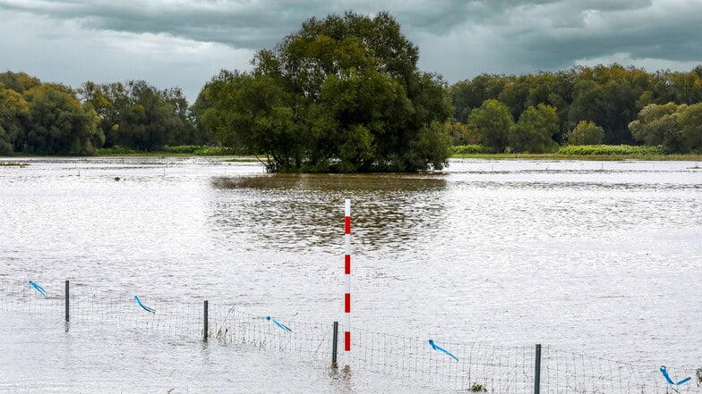 In Leuba brauchte die Neiße am Wochenende viel Platz.