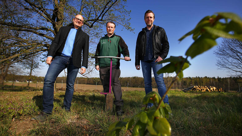 Henrik Lindner (Mitte) hat mit seiner Stiftung ein neues Stück Wald bei Kamenz geschaffen. Die Firma Meditech aus Pulsnitz mit den Geschäftsführern Maik Lange (l.) und Karsten Leonhardt stellte dafür Geld bereit.