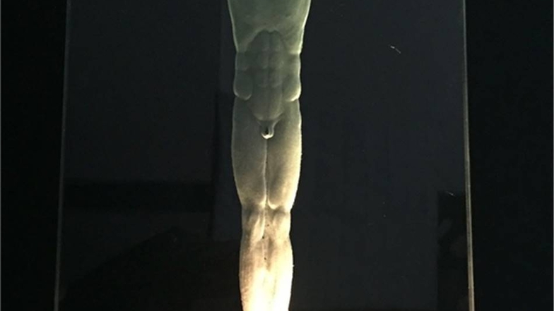 In Glas geschliffen

Von Hand in eine Glasscheibe eingeschliffen wurde dieses Kruzifix. Aus dem Holzsockel heraus wird es beleuchtet. Erschaffer ist Paul Prokasky aus Frankfurt.