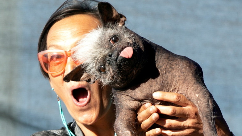 "Mr. Happy Face" ist der hässlichste Hund der Welt