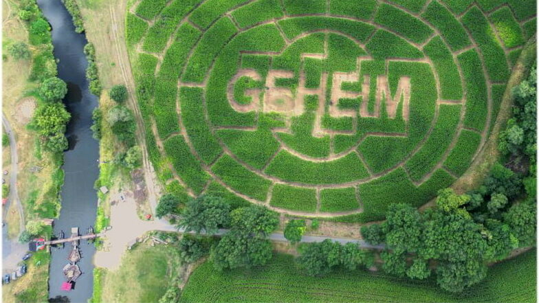 Labyrinth im Maisfeld lockt an die Neiße