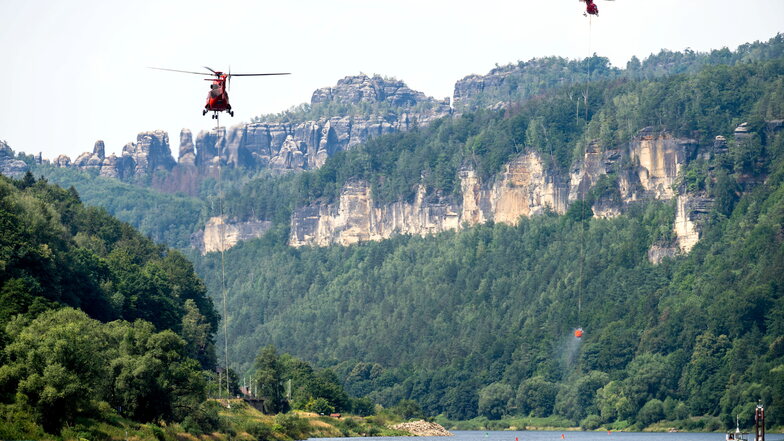 Nach dem Waldbrand in der Sächsischen Schweiz im Sommer steht der Nationalpark in der Kritik.