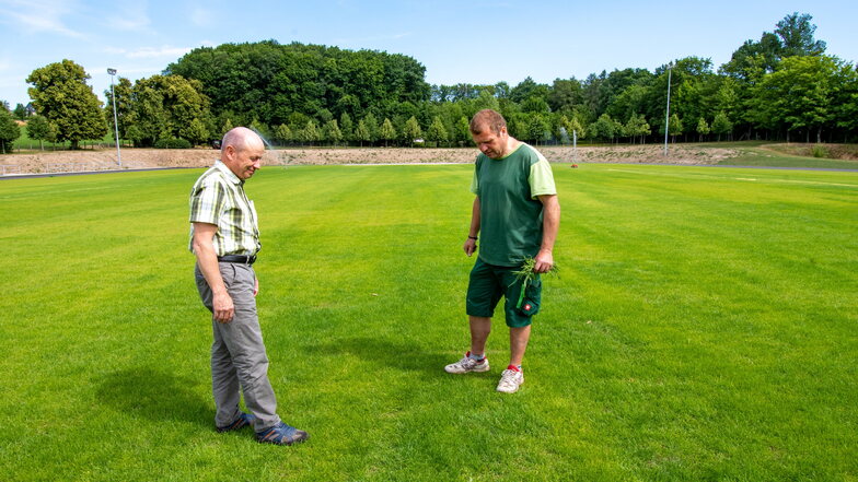 Günter Roßberg (links), Leiter des Kultur- und Sportbetriebes, und Platzwart René Greif im vergangenen Jahr bei der Begutachtung des Rasens im Stadion Wiesenstraße. Jetzt kann wieder darauf trainiert werden.