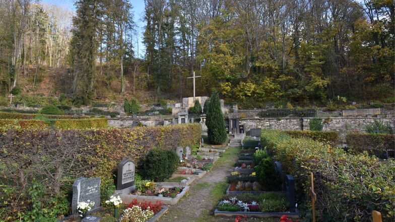 Glashütte lehnt Waldfriedhof ab