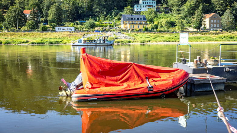 Bei Königstein suchten Rettungskräfte am Dienstagnachmittag auf der Elbe nach einer Frau, die ihren Hund retten wollte.