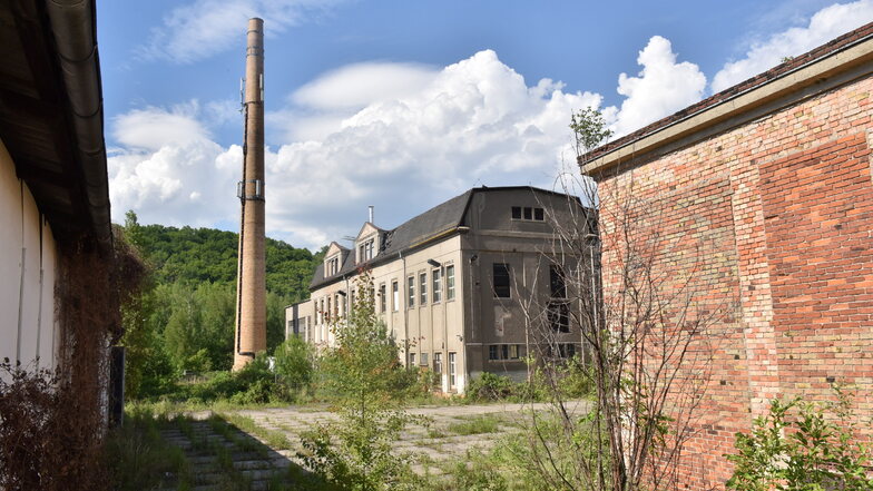 Die Tage des alten Fabrikkomplexes, ehemals Alpha Chemie, sind gezählt. Noch vor Jahresende könnte der Abriss beginnen.