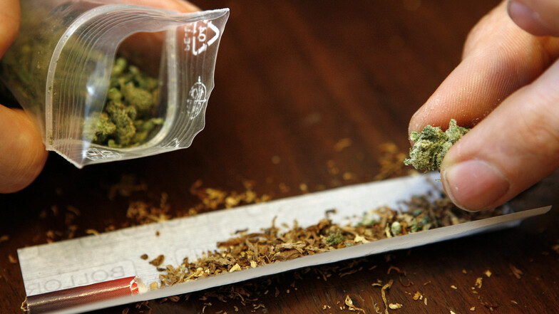 300 Gramm Cannabis lag in ein einem Gebüsch auf dem Pirnaer Sonnenstein.