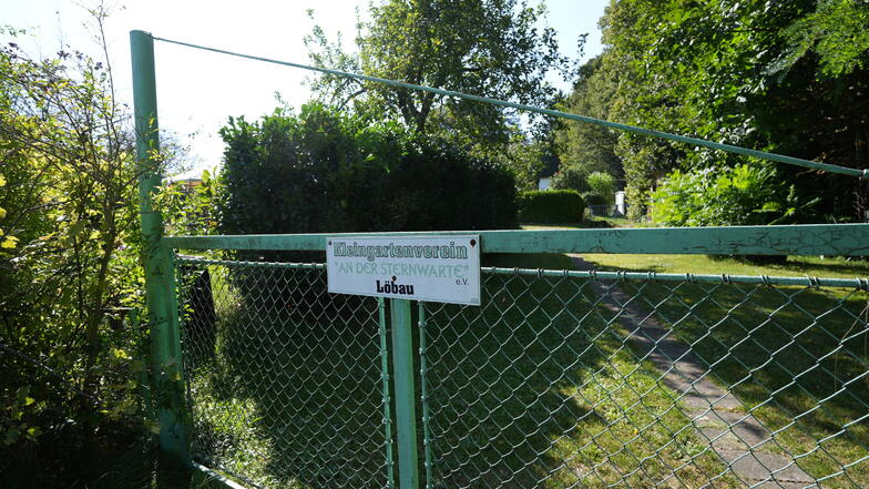 In der Kleingartensparte "An der Sternwarte" in Löbau ist es bald vorbei mit der grünen Idylle. Die Kleingärtner müssen die Anlage räumen.