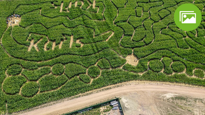 Auf 1,25 Hektar ist das Maislabyrinth angelegt. Bis November ist es eröffnet.