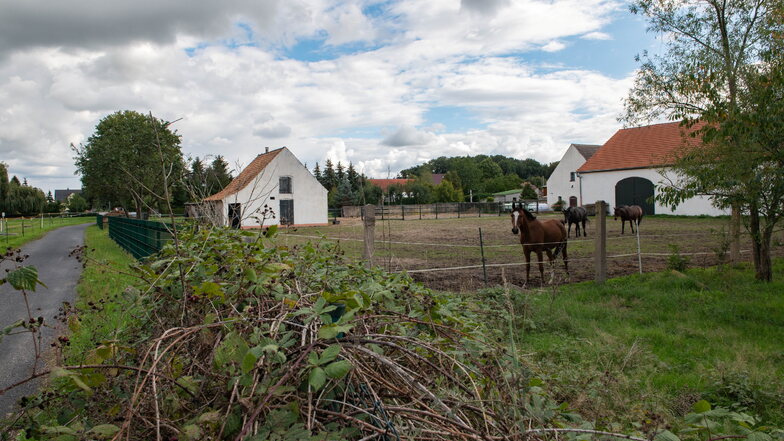 In Adelsdorf, Gemeinde Lampertswalde, wird der Bebauungsplan An den Koppeln aufgestellt.
