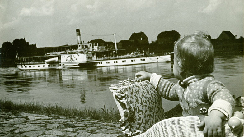 Das waren noch Zeiten: Bis Anfang der 90er fuhr die Weiße Flotte auch noch Riesa an. Hier ein Archivfoto, das die 1983 verschrottete „Einheit“ vom Riesaer Stadtpark aus gesehen zeigt, im Hintergrund Promnitz.