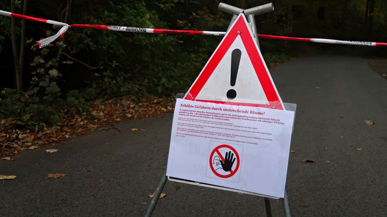 Stopp: Für Spaziergänger gilt ein Betretungsverbot im Pirnaer Stadtwald.