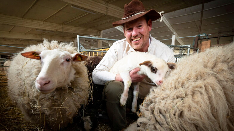 Daniel Hammer bereitet das Frühlingsfest des Wachauer Vereins Wunder Land vor. Wegen der Corona-Beschränkungen findet es in diesem Jahr nur virtuell statt. Ein Höhepunkt ist die Aufzeichnung der Schafschur.