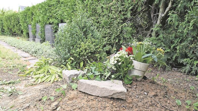 Die Gebeine der beiden durch Kopfschuss hingerichteten Soldaten ruhen seit Anfang Juni neben den Kinderkriegsgräbern des Kreischaer Friedhofs.