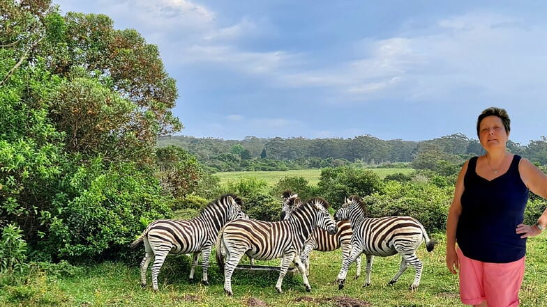 Der Kragga Kamma Game Park ist nur eine halbe Stunde vom südafrikanischen Zuhause von Gaby Tross entfernt.