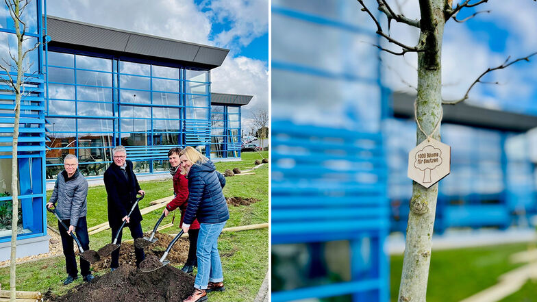 Mitarbeiter von städtischen Unternehmen und Stadtbegrüner haben am Montag in Bautzen Bäume gepflanzt. Dr. Matthias Berger (l./Stadtbegrüner); Volker Bartko (BBB), Bianca Hänisch (EWB) und Sabine Fischer (r./BBB) taten das am Röhrscheidtbad Gesundbrunnen.