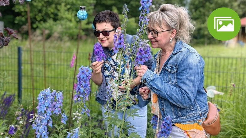 Silke Maak (r. ) und Simone Böhmert bestaunen die Blütenpracht in Hildes Garden an der Pulsnitzer Straße in Kamenz. Sie waren zwei von Tausenden neugierigen Besuchern, die zur 5. Kamenzer Offenen Gartenpforte kamen.