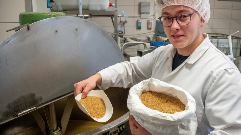 Tim Wagner bei der Herstellung von Marder Senf. Für die Produktion der beliebtesten scharfen Sache in der Region werden ausgewählte Senfsaaten verwendet.